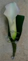 Boutonniere 019