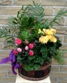 Dish Garden 002