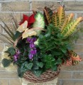 Dish Garden 004