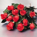 12 Fresh Cut Roses Long Stem